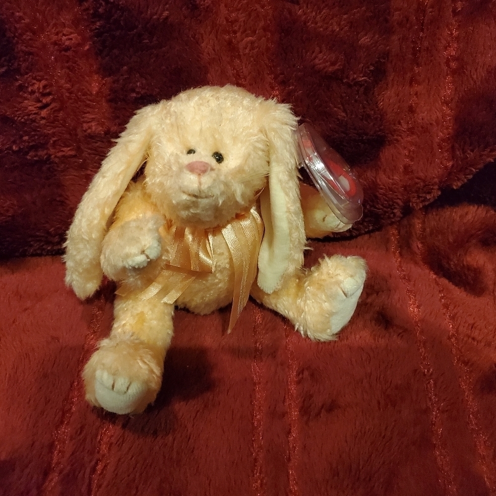 𝅺TY Attic Treasures - Camelia   7th Generation